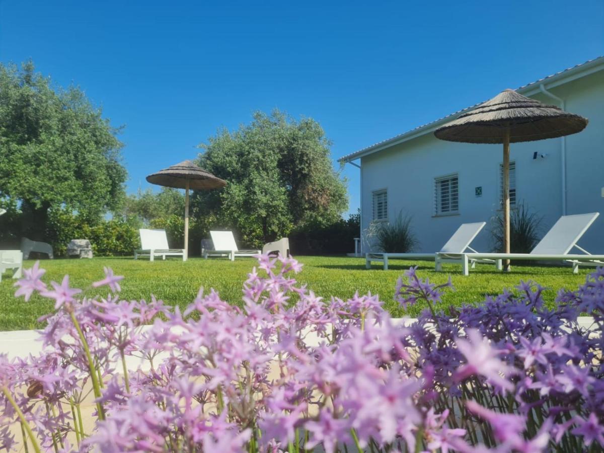 La Maison - Boutique Rooms Сперлонга Экстерьер фото